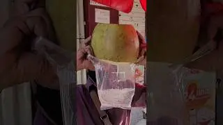 Fresh coconut water to drink when in Southeast Asia!!!