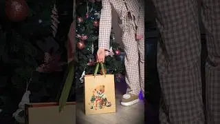 Новогодние подарки любимым питомцам.