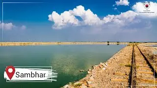 Sambhar