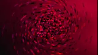 YM Designs  logo Intro 36
