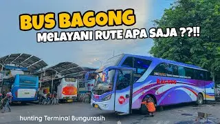 KERAJAAN BUS BAGONG DI TERMINAL BUNGURASIH !! | Akankah Ada Kejutan lagi