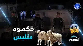 #شاهدوا .. سارق الغنم يقع بين يدي الدرك الوطني بعين الدفلى