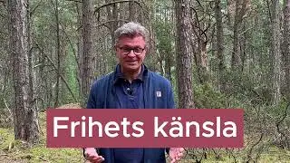 Kraften i sårbarhet: Nyckeln till inre styrka och frihet