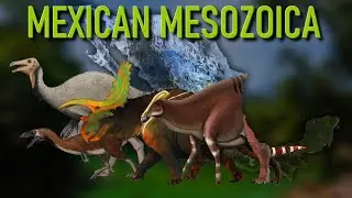 🇲🇽 3 Spots in MEXICO