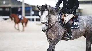 Charlotte Drum Vh Juxschot Z