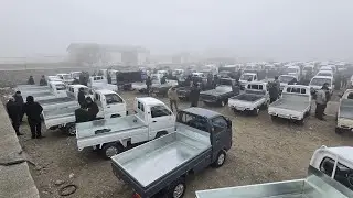 9 января 2026 QOQON LABO NARXLARI