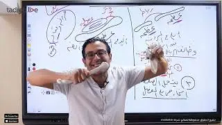 الأربطة والأوتار- أحياء ثانوية عامة 2024