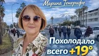 Похолодало всего +19