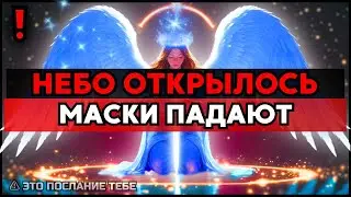 Как попытка насмешки обернулась публичным конфузом для инициатора