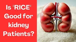 Is Rice Safe for Kidney Patients | Understanding Its Impact on Kidney Health | Body Brief