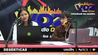 PROGRAMA 