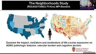 Building Resilience: Understanding Economic Stability to Reduce Dementia Risk