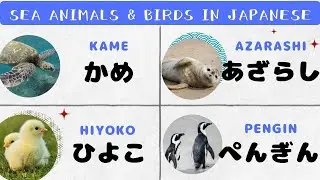 Sea Animals and Birds in Japanese - Basic Japanese Words for Beginners #11 (+mini quiz)
