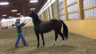 Rhythmic Pressure