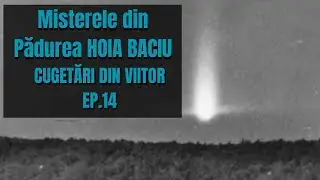 CUGETARI DIN VIITOR EP.14 - Misterele din Padurea Hoia Baciu - Cluj