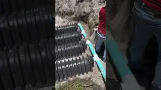 Drain field repair