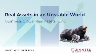 Real Assets in an Unstable World