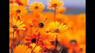 Romantic music classical Royalty free you tube #for #film-sound #score
