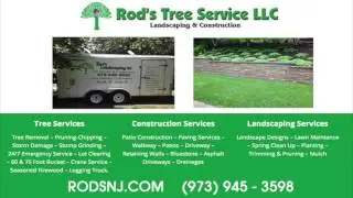 Tree Removal Morris County NJ