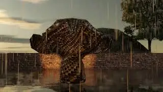 Wet Monkey