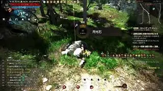 🇯🇵[❤️黒い砂漠~~PS5🌵]堕天使の自由気ままな冒険録