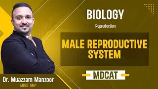 35. Biology | Reproduction | Male Reproductive System - 8.1 | MDCAT 2026