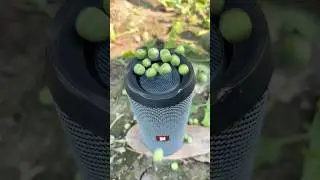 Jbl bass testing matter
