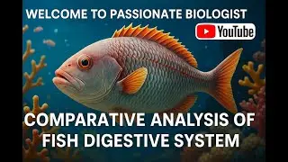 fish digestive system in urdu || #fish feeding habits #fish biology #fish nutrition