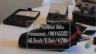 Flyer Vollblut Akku demontage/unboxing
