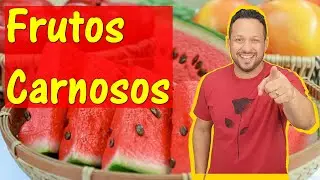 Frutos Carnosos - Baga e Drupa - Classifica&ccedil;&atilde;o dos Frutos - Frutos - Organologia Vegetal - Bot&acirc;nica