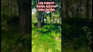 leg support kariye #bollywood #song #love #bollywoodsongs #ytshorts #hindisong #lifeisbutadream