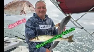 Westernport Bay fishing Trifecta - gummyshark+whiting+snapper