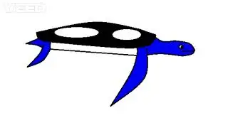 Leatherback turtle sound