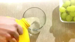 1000 Tage Aloe Vera