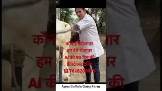 AI traning / Dairy Farming Training #artificialinsemination #aitraining #dairyfarmmanagement #cow