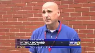Spring Pest Proofing| Savannah, GA| Arrow Exterminators