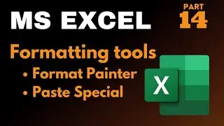 MS Excel - Different formatting tools #formatpainter #pastespecial #msexcelfullcourse  | Part 14 |