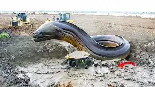 WTF! EPIC PUSH Bulldozer Gone Wrong 😱 Sinking in Deep Mud During Land Filling Operation