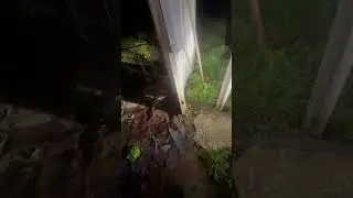 Самая дорогая в мире Квартира - пентхаус Дубай ! #bitcoin #видео #travel #yoga