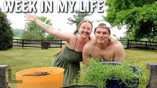 VLOG | doing everything i've been avoiding, garden tour & farm fun!