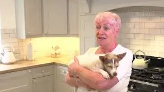 Replacement Kitchen Doors