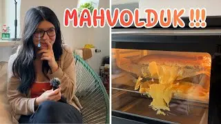 HER ŞEY TERS GİDİYOR - Almanya'da kursumun ilk g&uuml;n&uuml; vlog
