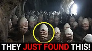 Chilling Discovery Made by Scientists in Deep Underwater Cave