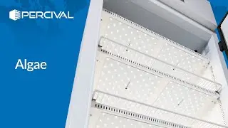 Percival Scientific Algae