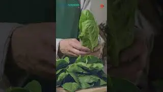 Manipal Hospital Bhubaneswar | Diet for Arthritis | Dr. Ashlesha Shukla
