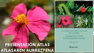 Presentación 