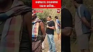 ରାତିରେ ନର କଙ୍କାଳ ଦେଖି ଭୟରେ ଦୌଡିଲେ ଲୋକ!People fear after seeing a human skeleton