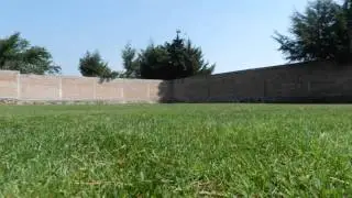 Cancha de Tenis de césped