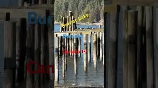 #canada #burnabybc # #shortvideo
