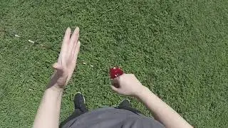 zingdama with a best friend